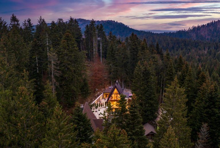 forest_home_dron_11_scaled-768x517