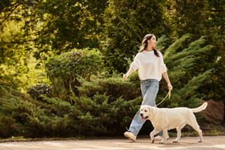 Idealna subota s vašim ljubimcem u Zagrebu: Ovo je top 5 pet-friendly lokacija za savršen proljetni dan