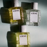 Loewe predstavio 3 nova mirisna remek djela