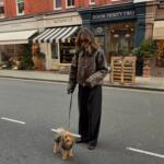 Ovo je najbolji proizvod za imunitet vašeg kućnog ljubimca