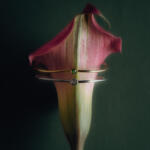 Hrvatski brend nakita Mari Mari predstavio novu kolekciju koja odiše luksuzom