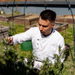 Svježe povrće, netom ubrane mirodije i namirnice s okusom kao iz bakinog vrta? U ovom restoranu to je fokus!