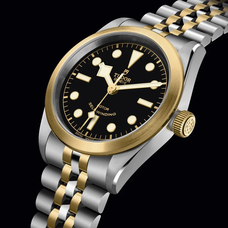 TUDOR Black Bay 32:36:41 S&G – 1