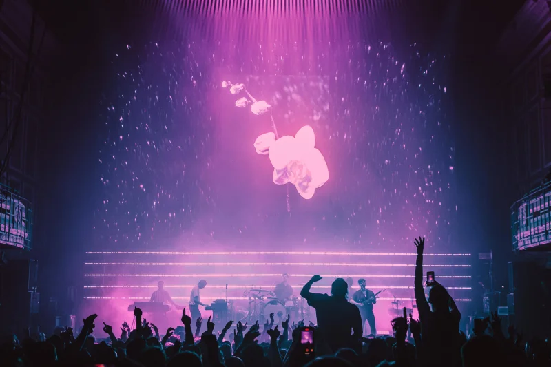 Foals