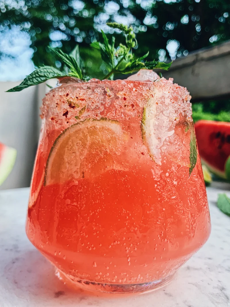 WATERMELON LIME GIN AND TONIC