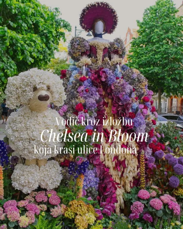 Ako putujete u London ovog svibnja ne propustite Chelsea in Bloom, cvjetni spektakl koji pretvara ulice Chelseaja i Belgravije u raskošnu izložbu pod otvorenim nebom! 🌸

Anja Streicher, Hrvatica sa stalnom adresom u Londonu, podijelila je s nama sve što trebate znati o ovom jedinstvenom događanju koje spaja umjetnost, prirodu i šarm britanske prijestolnice. Više na linku u opisu profila!

#MagMe @anjastreicher