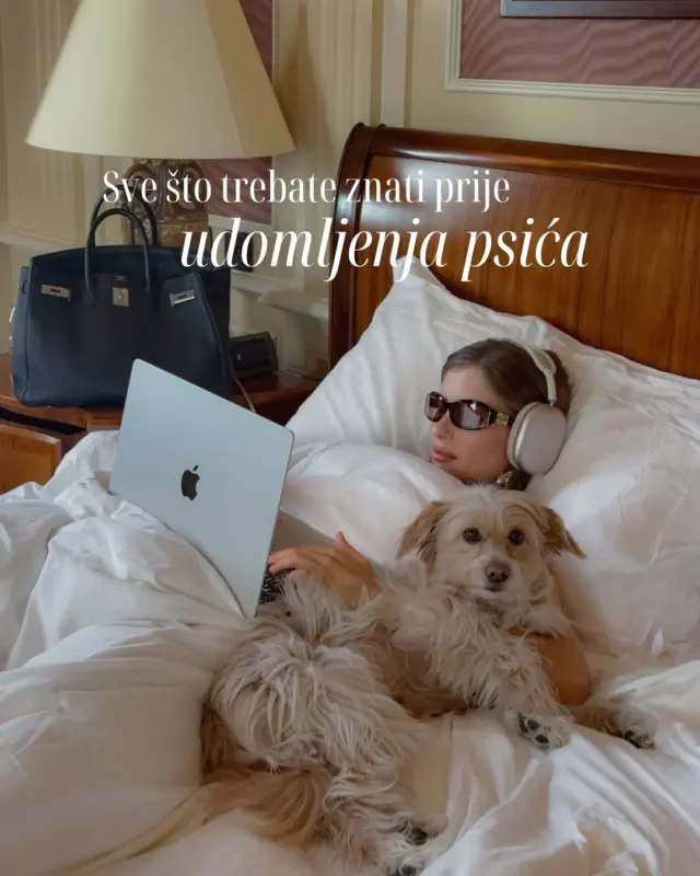 Udomljavanje psića jedno je od najljepših iskustava, ali i velika odgovornost. Osim sigurnog doma i puno ljubavi, štene treba i pravilnu prehranu kako bi zdravo raslo i razvijalo se. 🐾

Prvi mjeseci ključni su za jačanje imuniteta, razvoj kostiju i energije. Pravilnim odabirom hrane, poput linije @purinahrvatska  PRO PLAN prilagođene osjetljivim trbuščićima, koži i svakodnevnim potrebama, svom četveronožnom prijatelju možete osigurati najbolji mogući početak života! Sve savjete donosimo na linku u opisu profila.

#MagMe @xeniaadonts